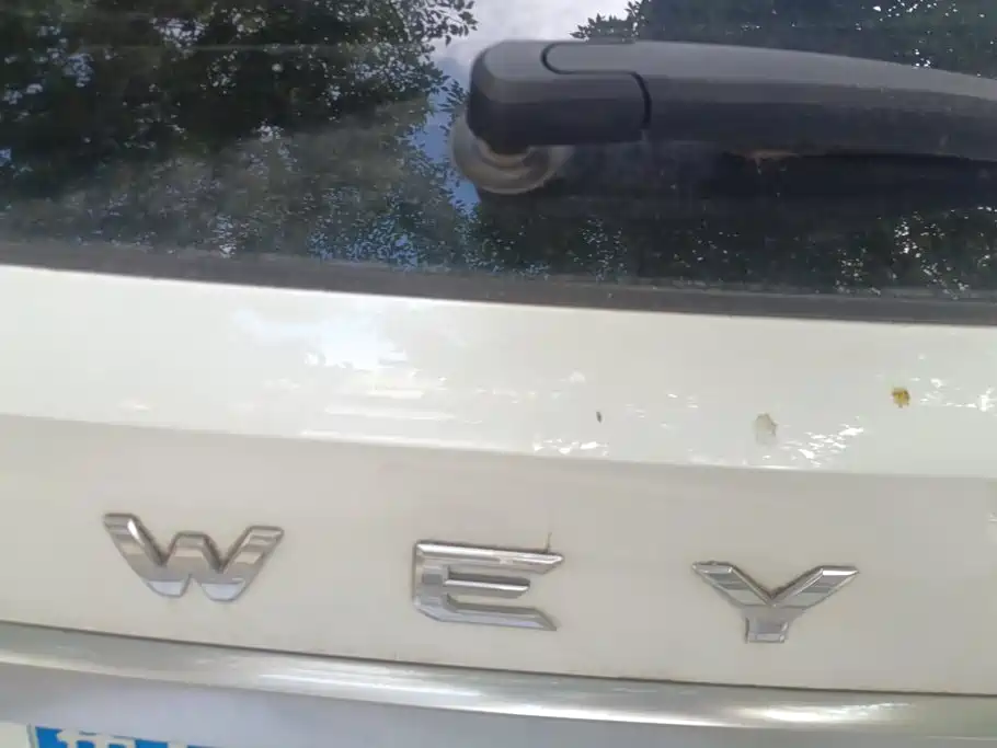 Wey Wey VV6 — миниатюра 4