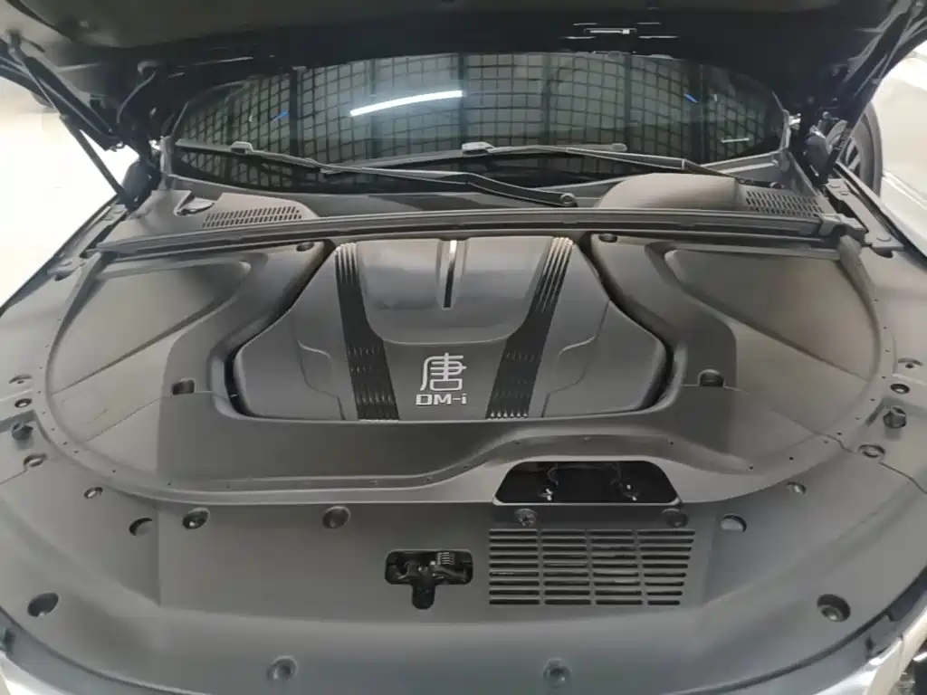 BYD Tang New Energy — миниатюра 20