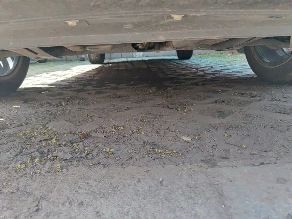 Nissan Kicks — миниатюра 22