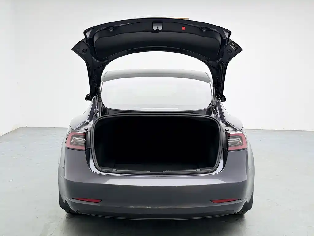 Tesla Model 3 — миниатюра 14