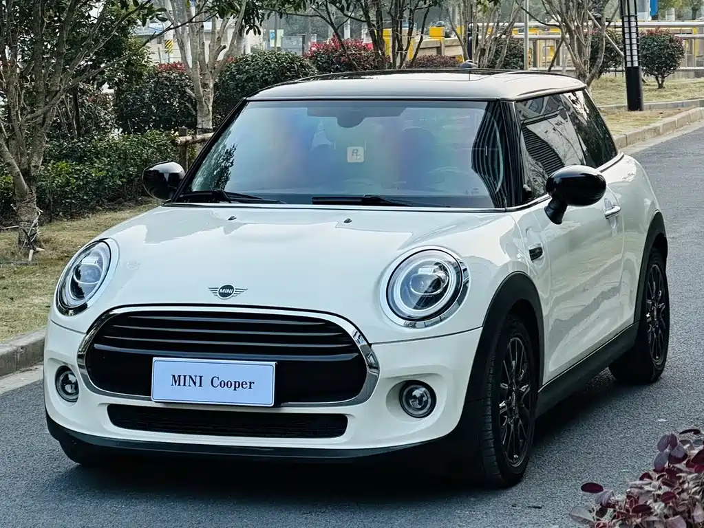 Mini Mini 2020