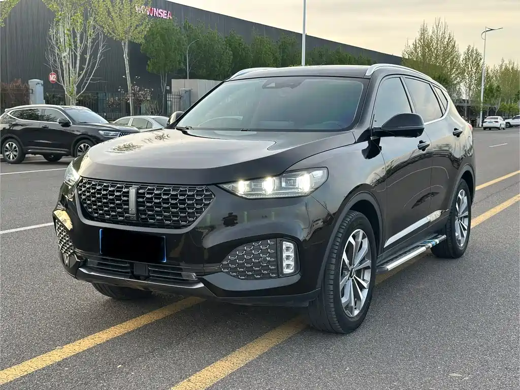 Wey Wey VV6 2019
