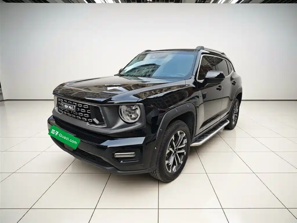 Haval 哈弗大狗 PLUS 2024