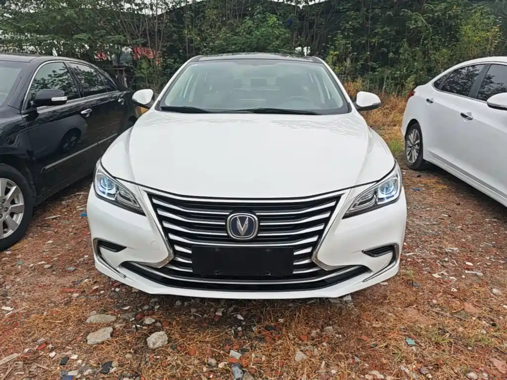 Changan Ruicheng CC — миниатюра 3