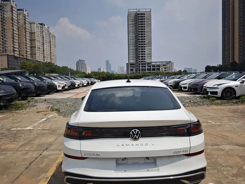 Volkswagen Lamando — миниатюра 10