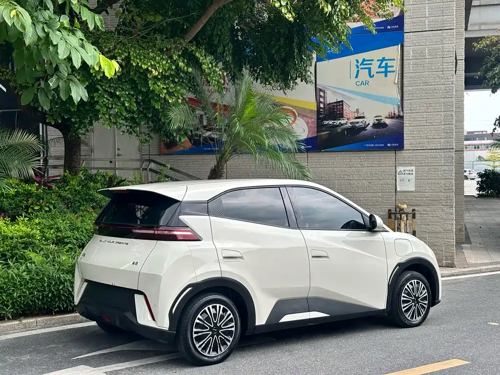BYD Seagull
