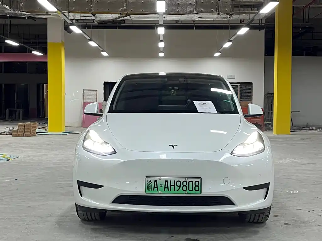 Tesla Model Y — миниатюра 2