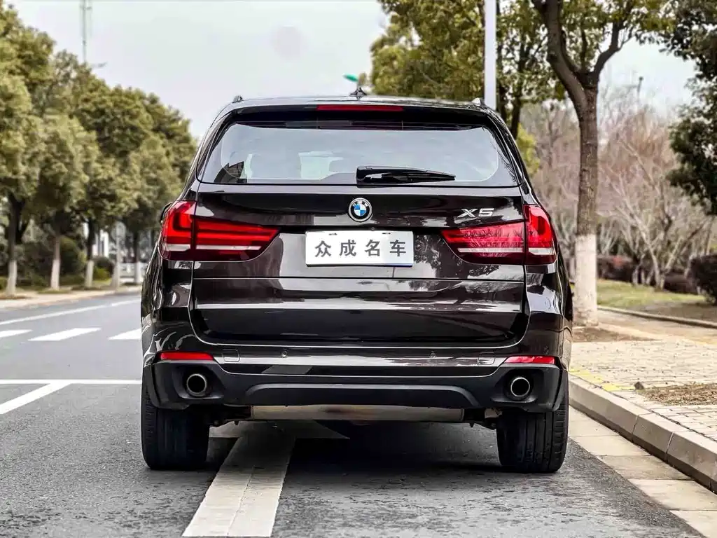 BMW X5 (Import) — миниатюра 5