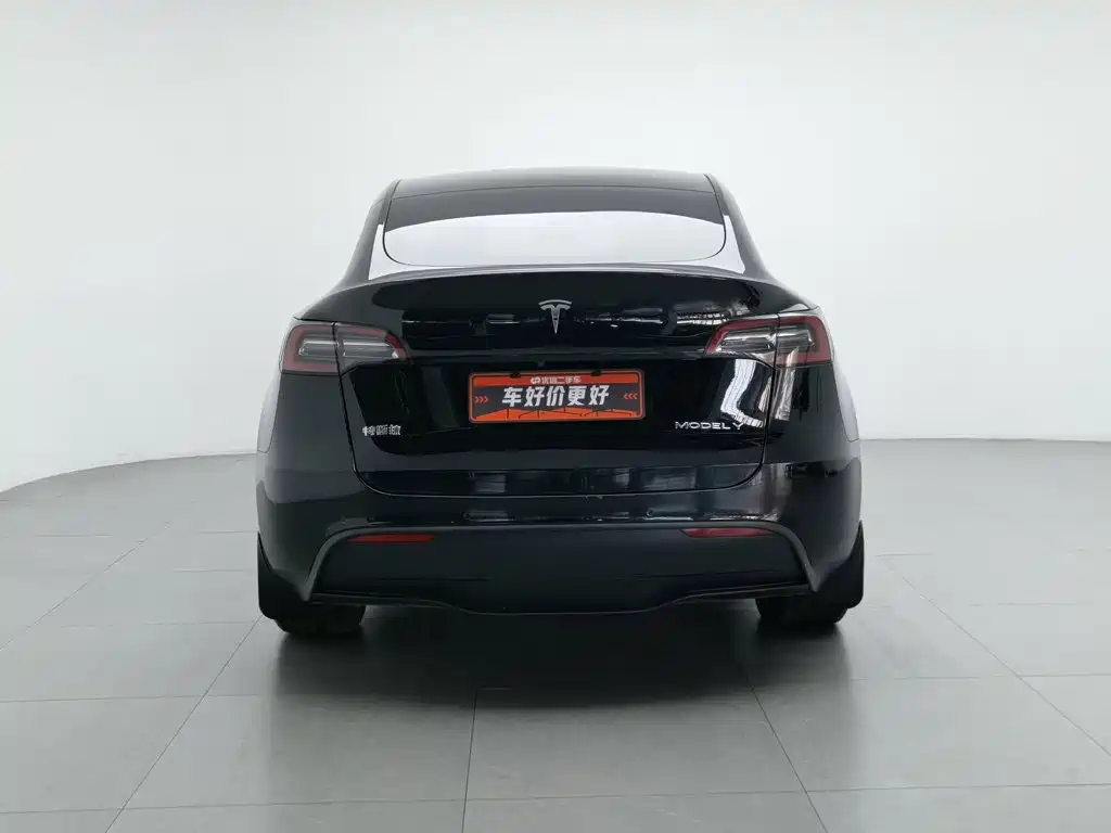 Tesla Model Y — миниатюра 4