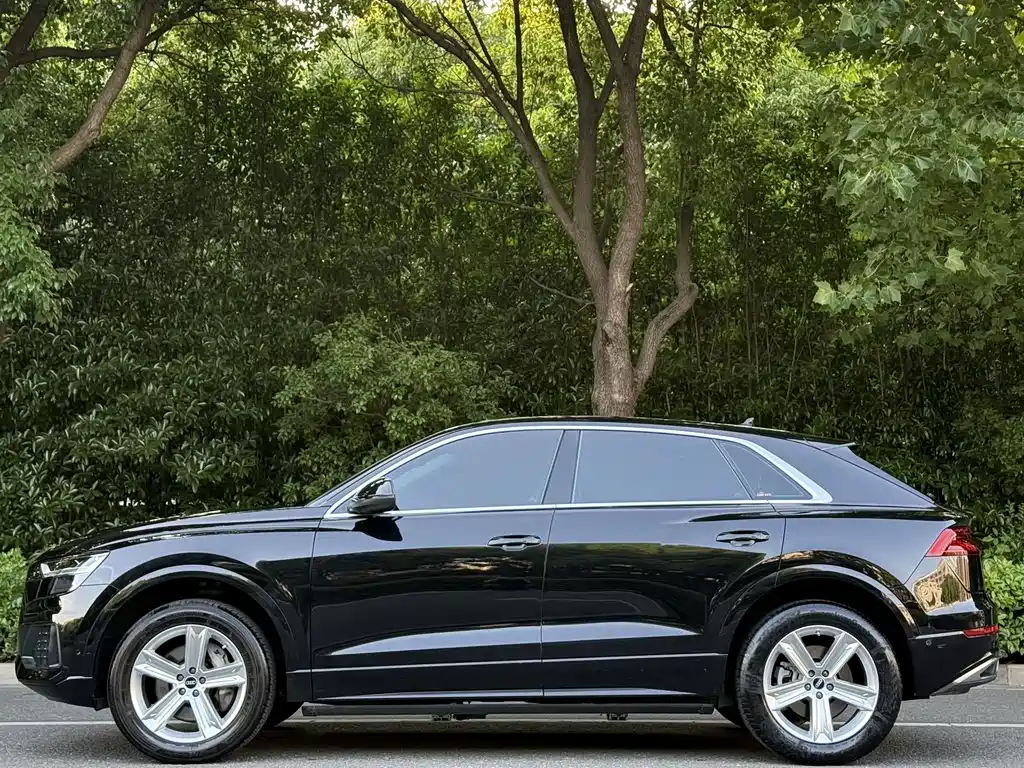 Audi Q8 2021 45 TFSI Luxury