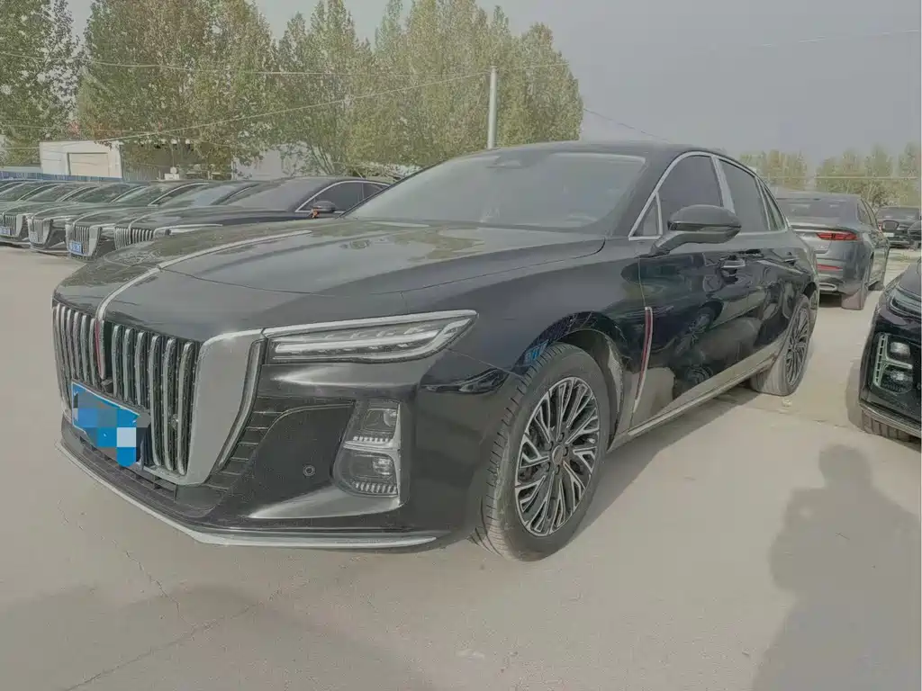 Hongqi Hongqi H5 2024