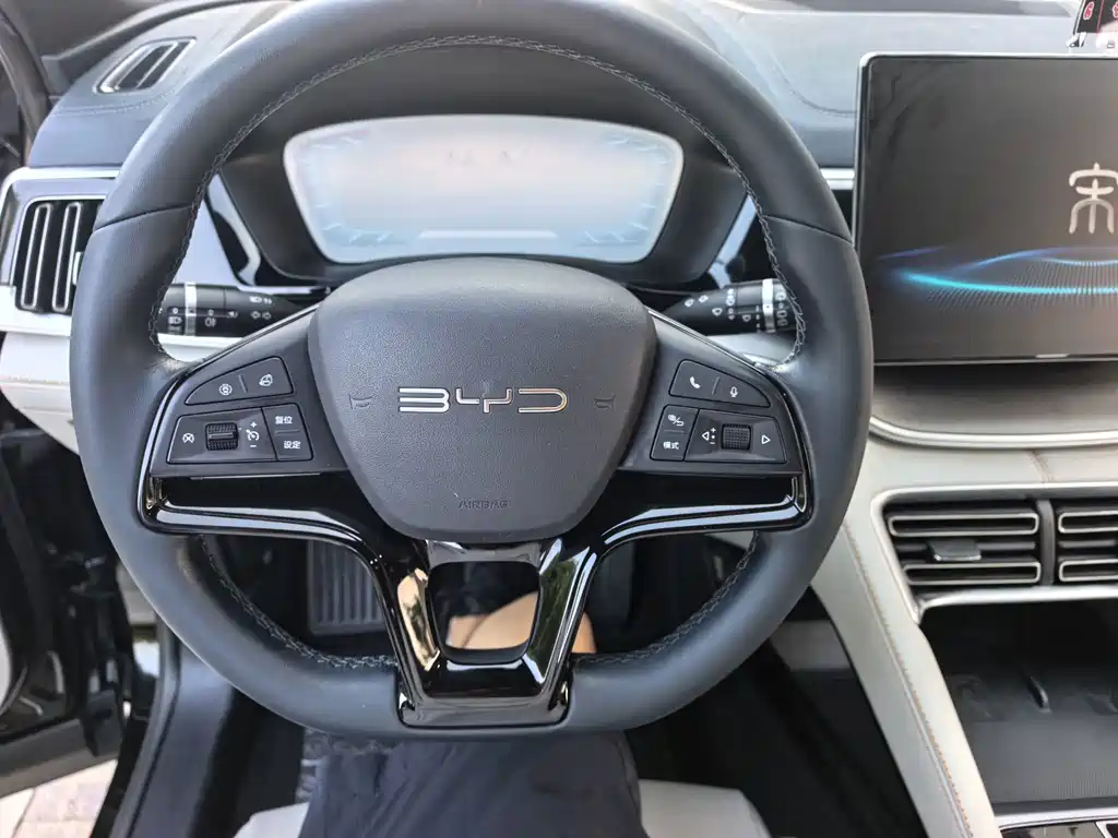 BYD PLUS New Energy — миниатюра 12