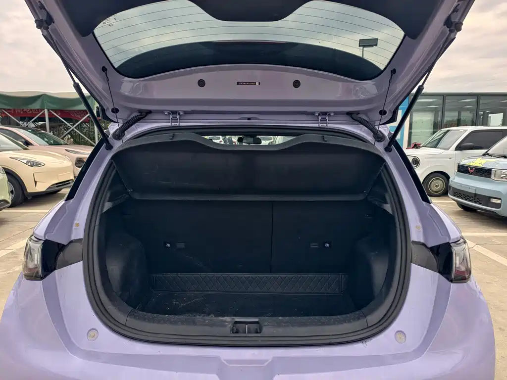 BYD Dolphin — миниатюра 12