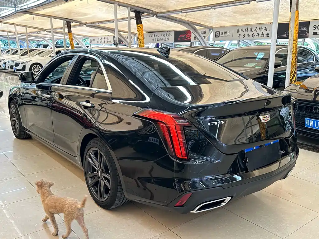 Cadillac CT4 — миниатюра 6