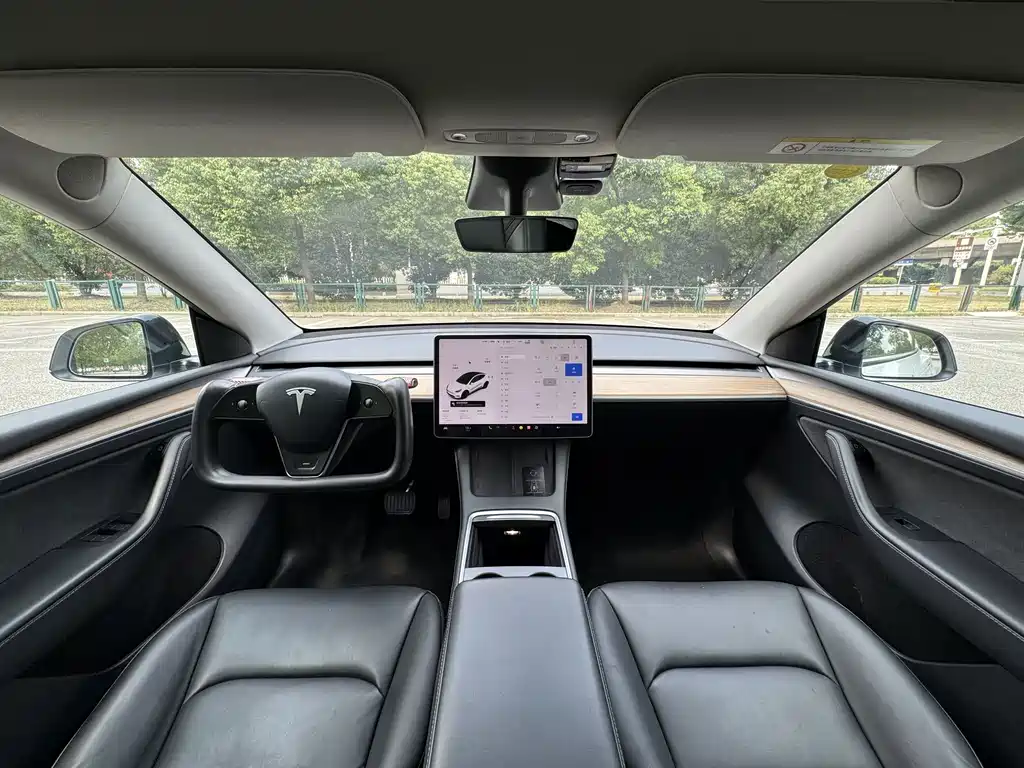 Tesla Model Y — миниатюра 7