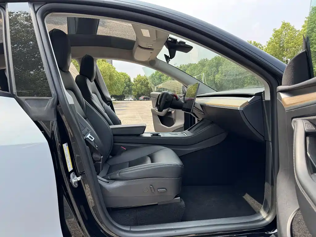 Tesla Model Y — миниатюра 9
