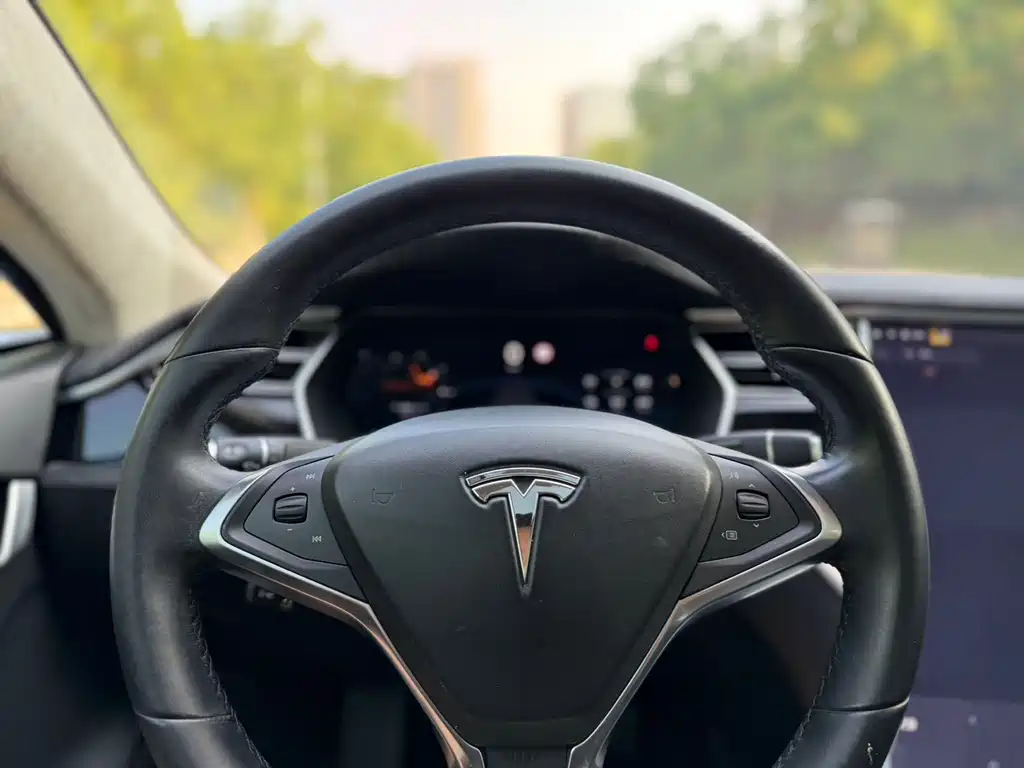 Tesla Model S — миниатюра 6