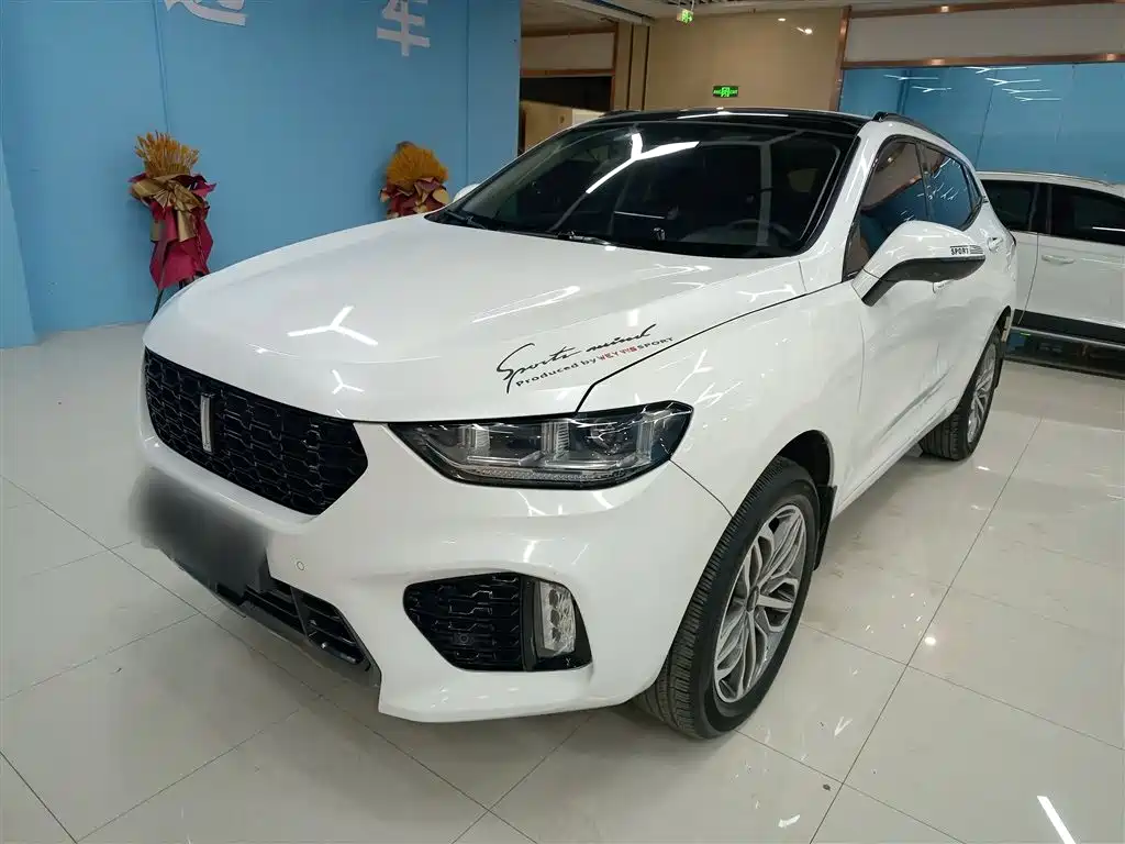 WEI PAI WEI BRAND VV5