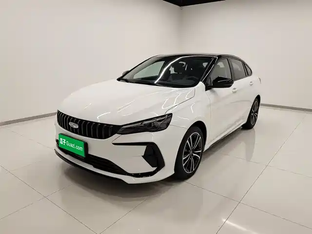 2024 Geely Binrui