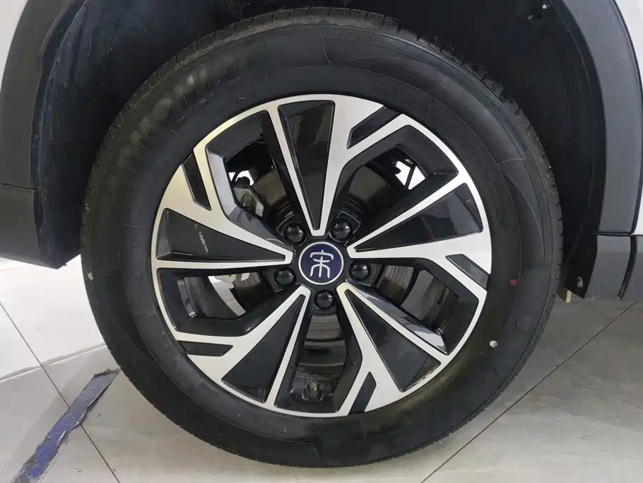 BYD Pro New Energy — миниатюра 6