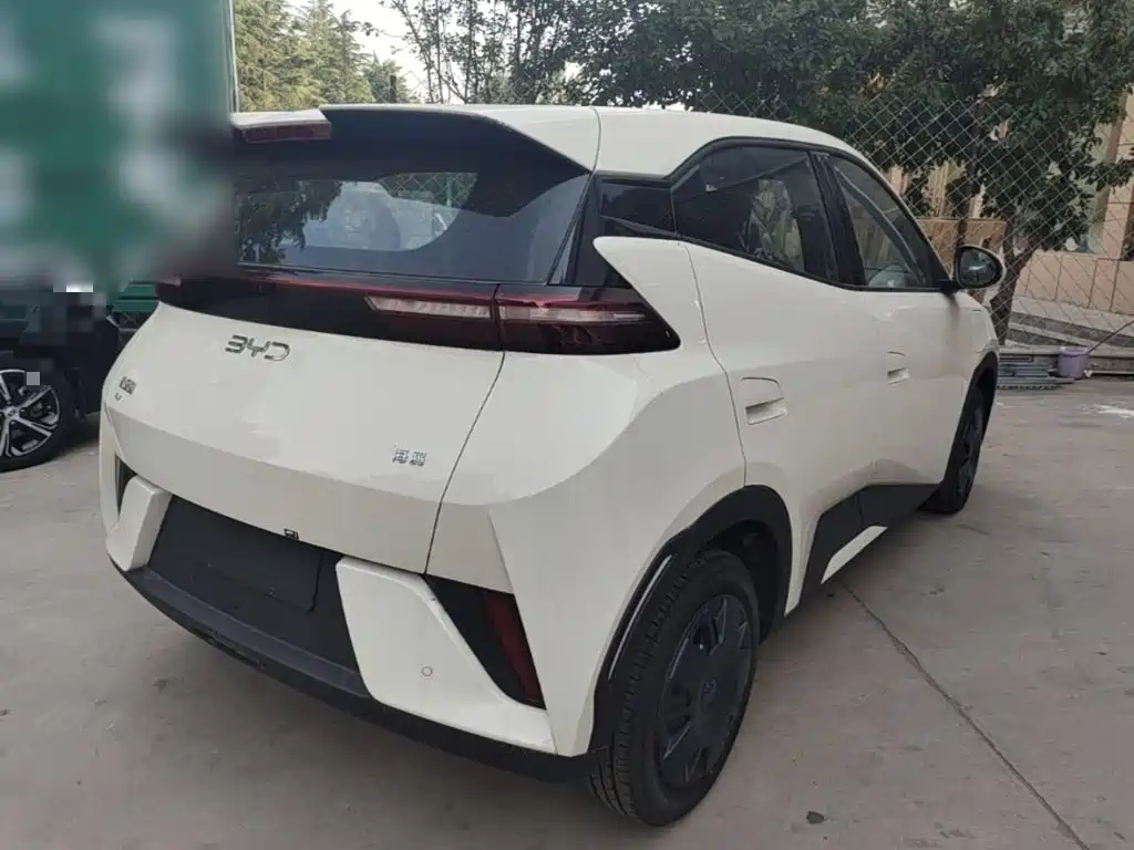 BYD Seagull 2025 Smart Drive 305km