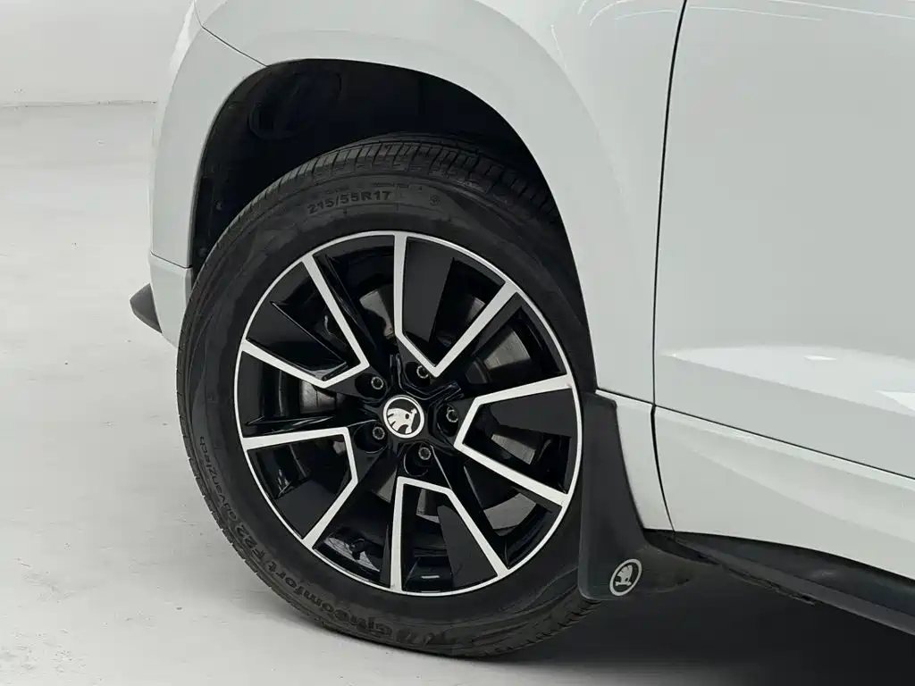 Skoda Karoq TSI280 Premium Edition, фото 14