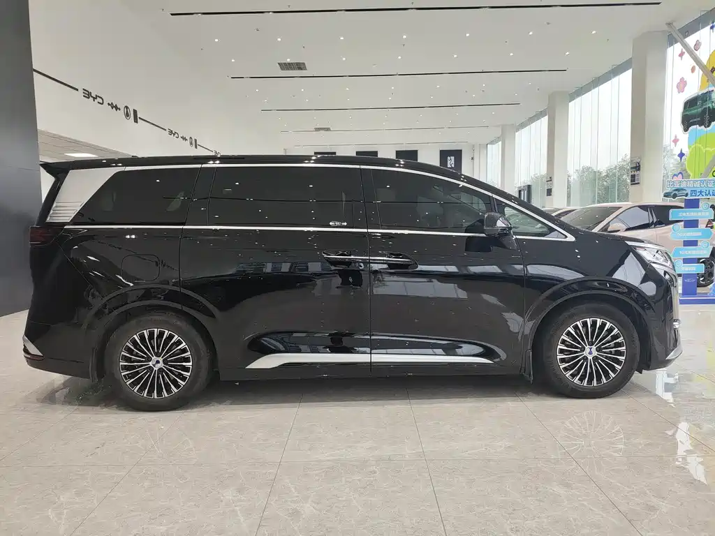 Denza Denza D9 — миниатюра 4