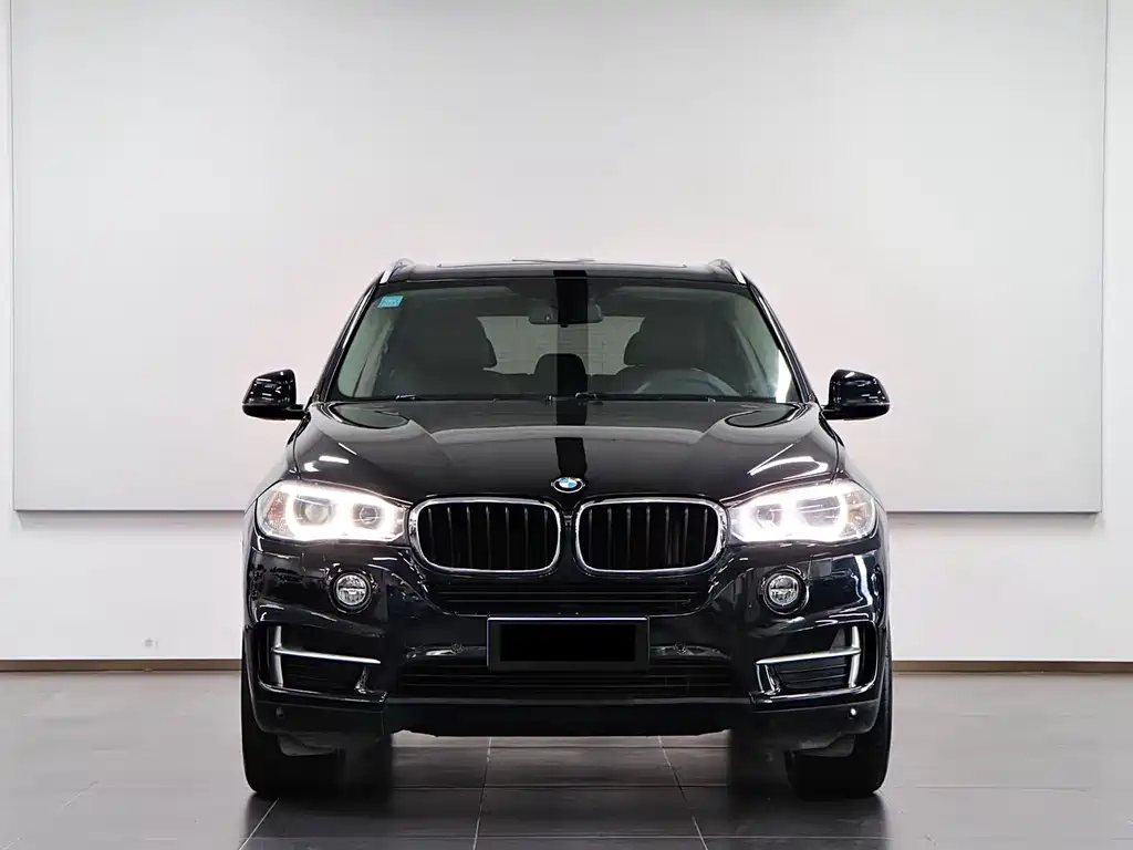 BMW X5 (Import) — миниатюра 2