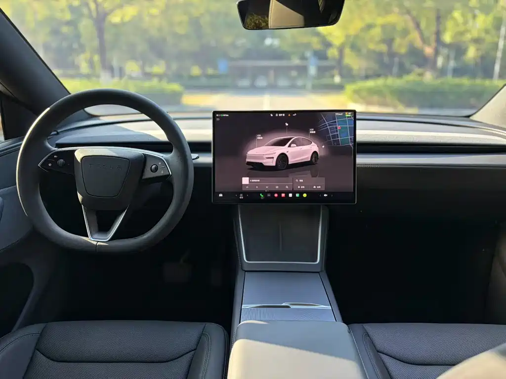 Tesla Model Y — миниатюра 4