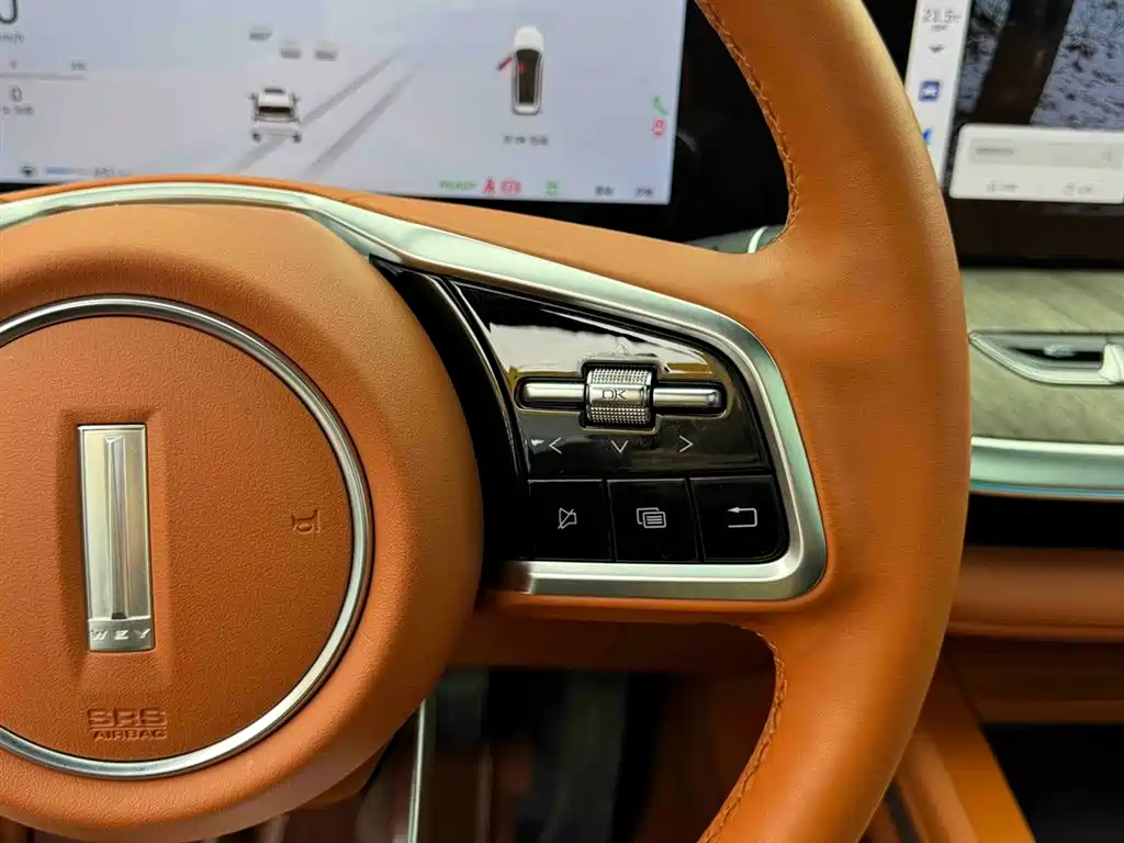 WEI PAI WEI BRAND BLUE MOUNTAIN