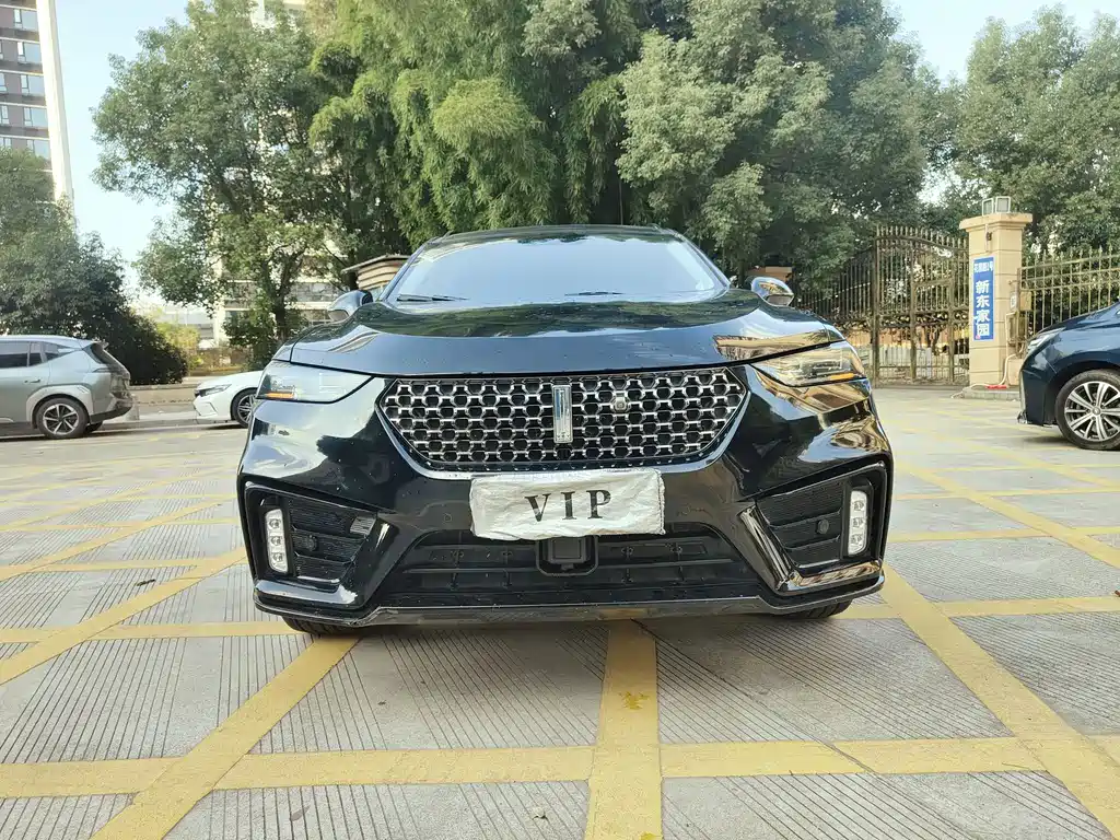 WEI PAI WEI BRAND VV7