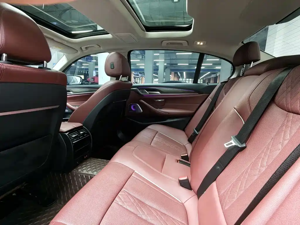 BMW 5 Series 5 2022 530Li Lead Luxury