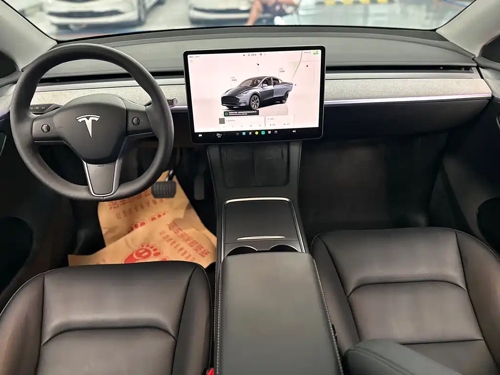 Tesla Model Y — миниатюра 10