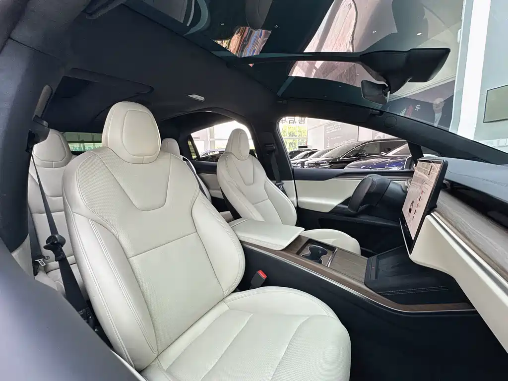 Tesla Model X — миниатюра 13