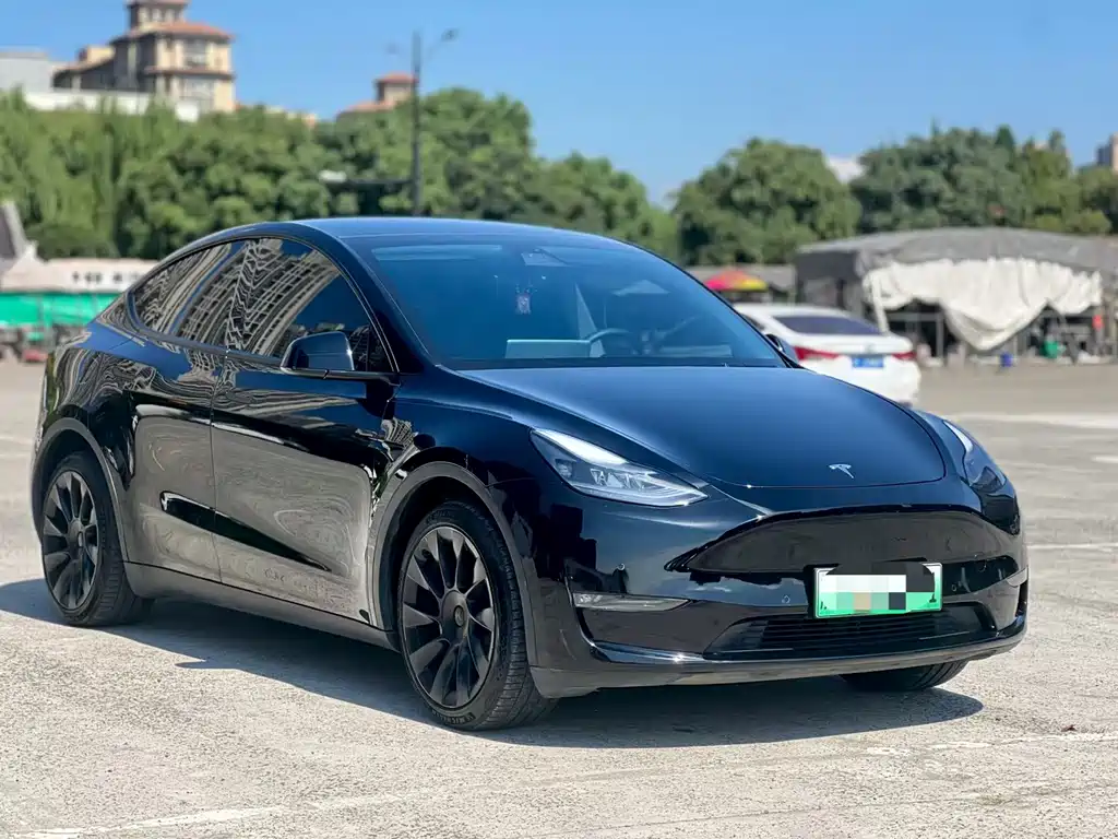 Tesla Model Y — миниатюра 3