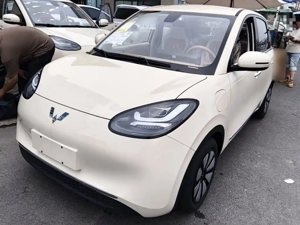 Wuling Binguo 2025 333km Enjoy