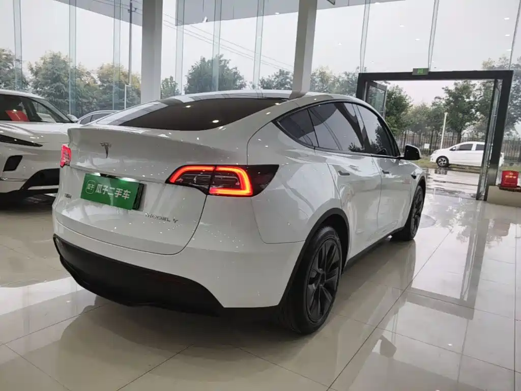 Tesla Model Y — миниатюра 7