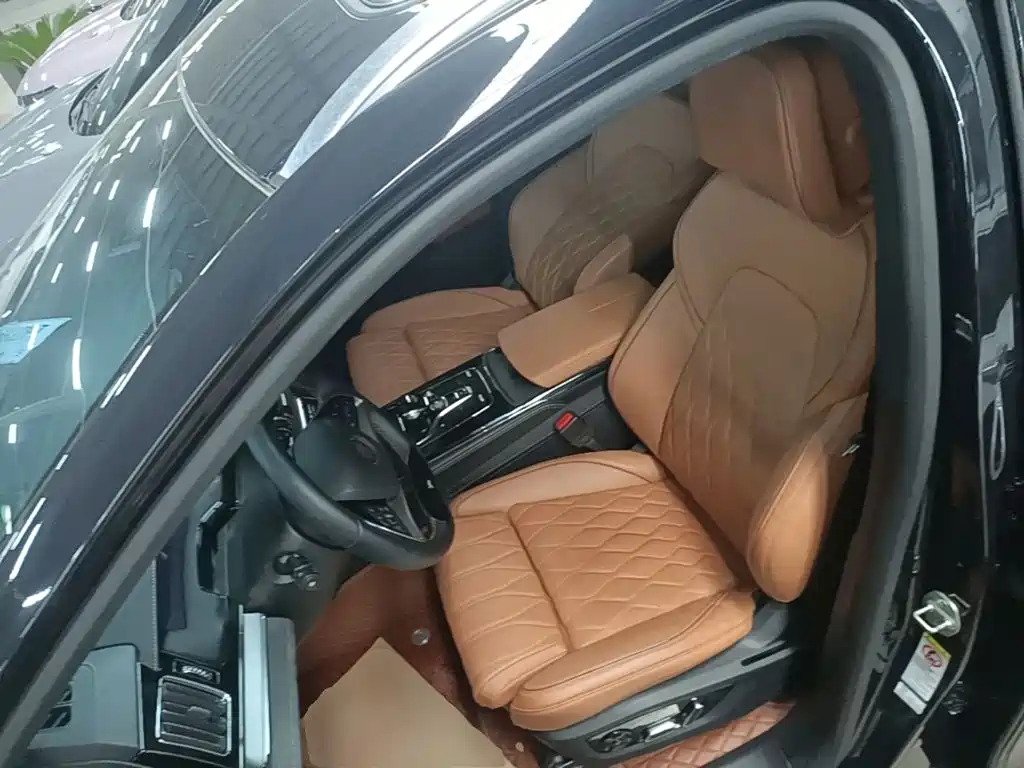 BYD Tang New Energy — миниатюра 15