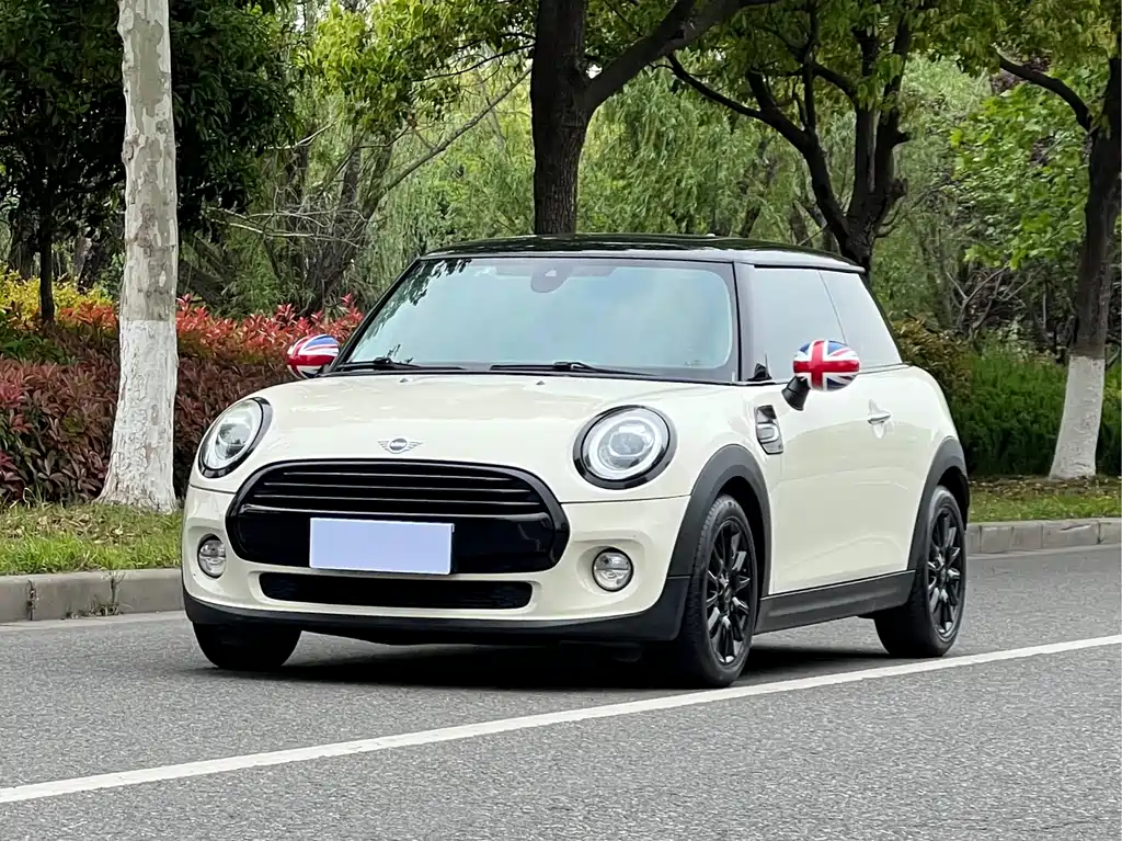 Mini Mini 2019