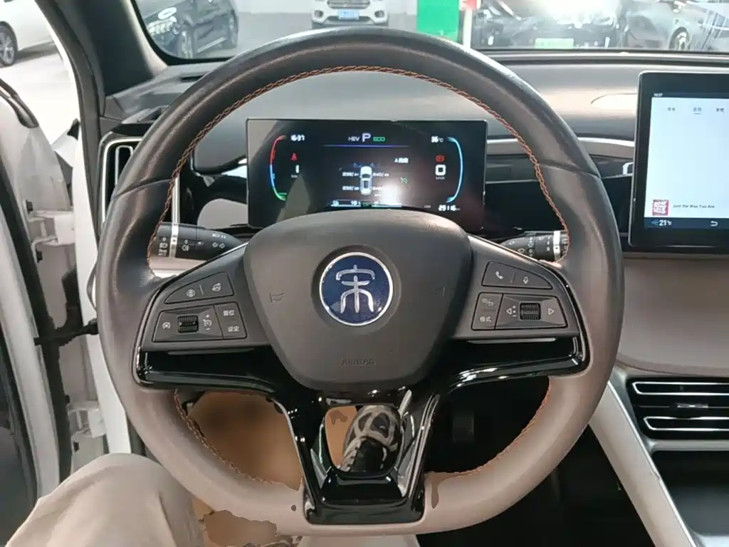 BYD Pro New Energy — миниатюра 11