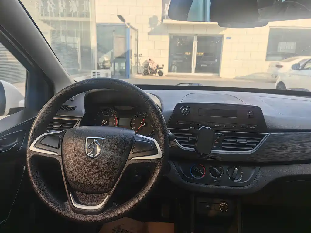 BAOJUN 310