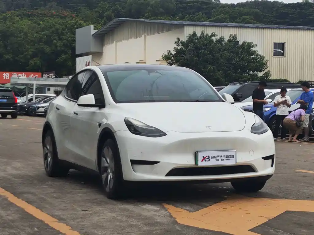 Tesla Model Y — миниатюра 6