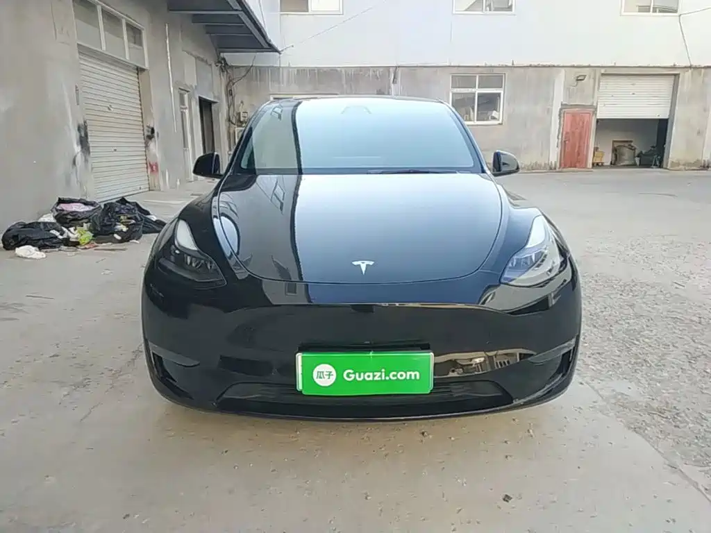 Tesla Model Y — миниатюра 3