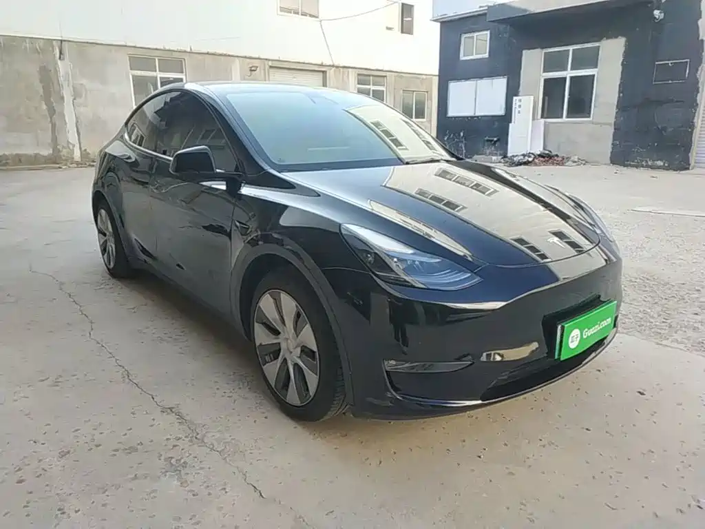 Tesla Model Y — миниатюра 4
