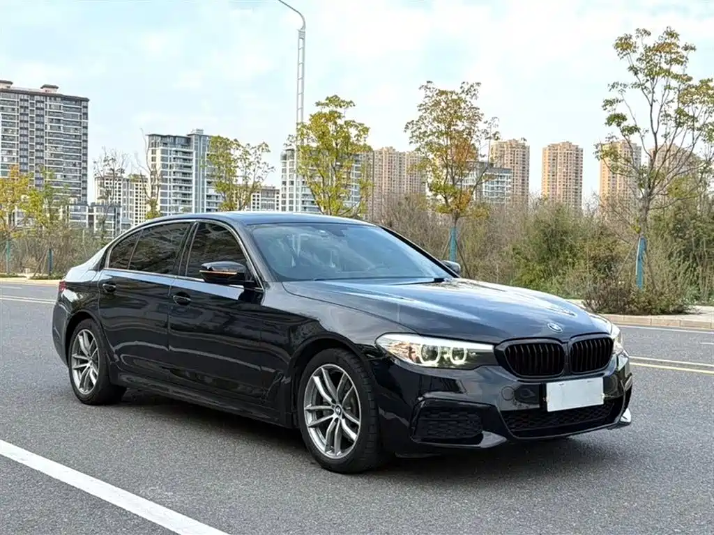 BMW 5 Series 2019