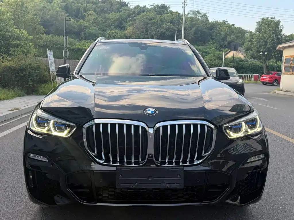BMW X5 (Import) — миниатюра 3