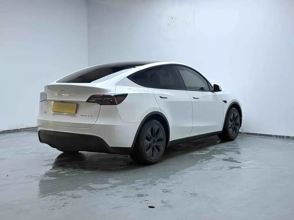 Tesla Model Y — миниатюра 7