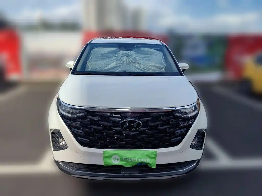 Hyundai Custo — миниатюра 2