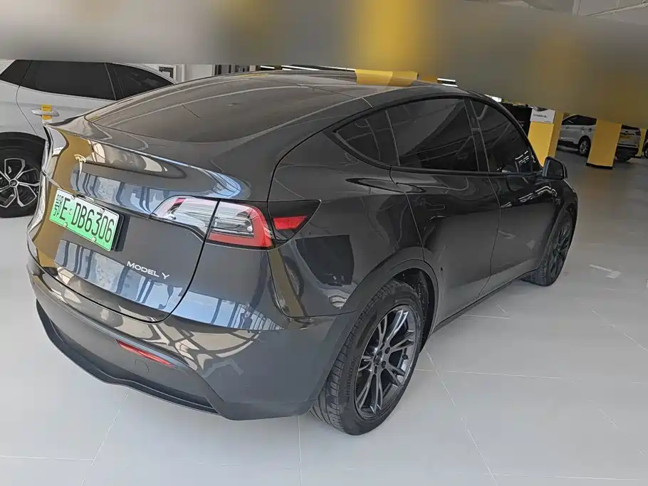Tesla Model Y — миниатюра 3