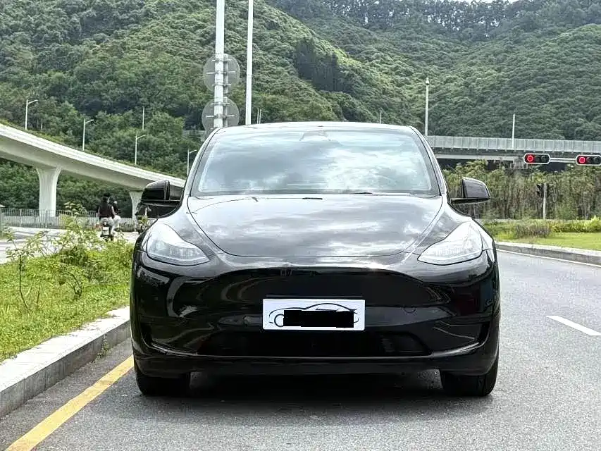 Tesla Model Y — миниатюра 2